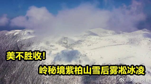 你的柔情似水让我爱的沉醉是什么歌游戏画面