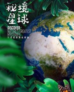 金桔怎么吃治咳嗽化痰 金桔止咳是泡水喝还是直接吃好游戏画面