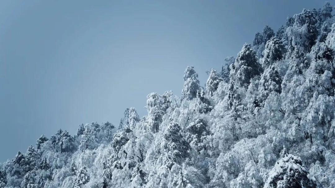 笑脸球的冒险之旅