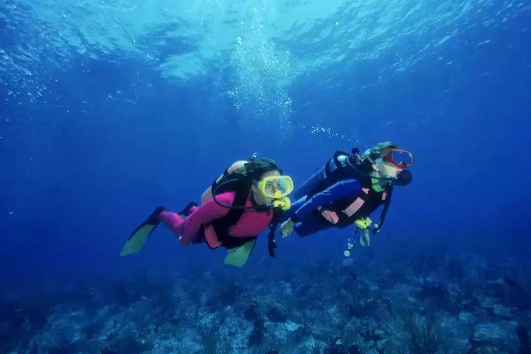 便民服务下沉基层 政策惠及千家万户