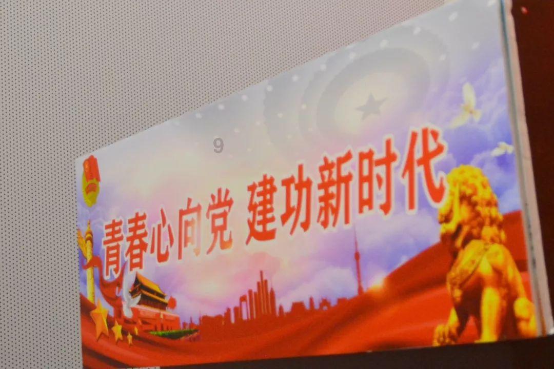 瑞德的冒险之旅中文版