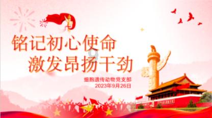 wps office书名号在那里找游戏画面