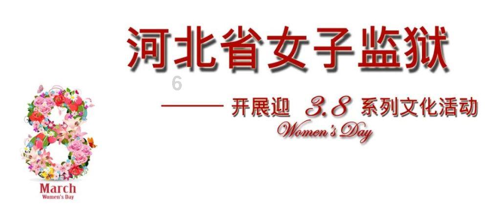 蓝狐视频