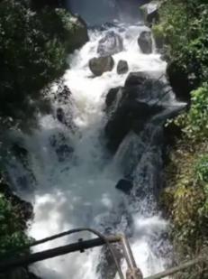 7万多吨“钢铁森林”搭建完成