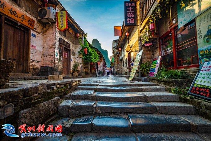 动物帮帮忙保卫家园
