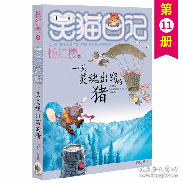 湖南常德警方抓捕暴力犯罪嫌疑人时英勇增援