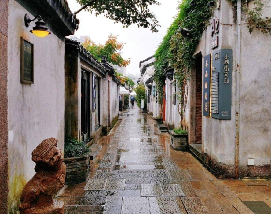 可爱的小孔雀救援