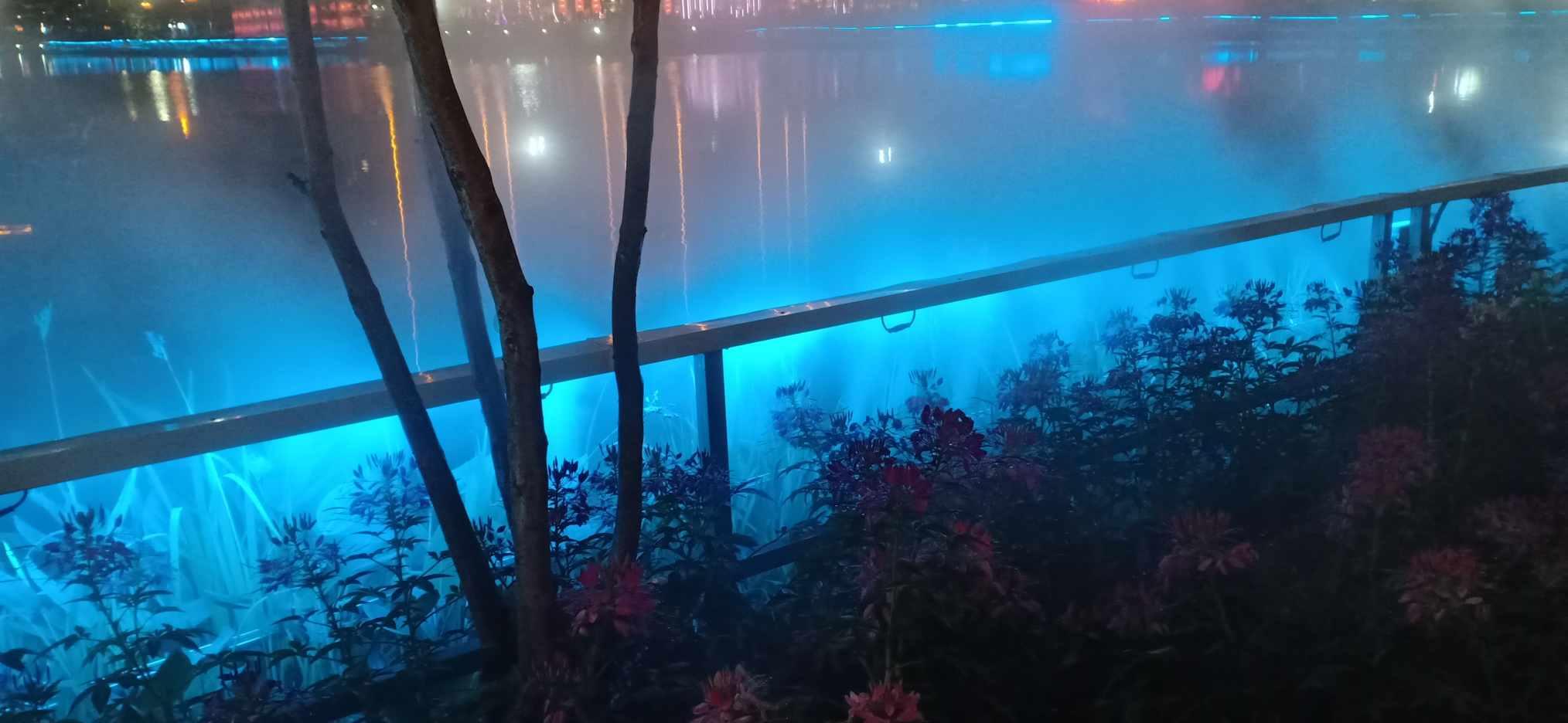 蜂王救援